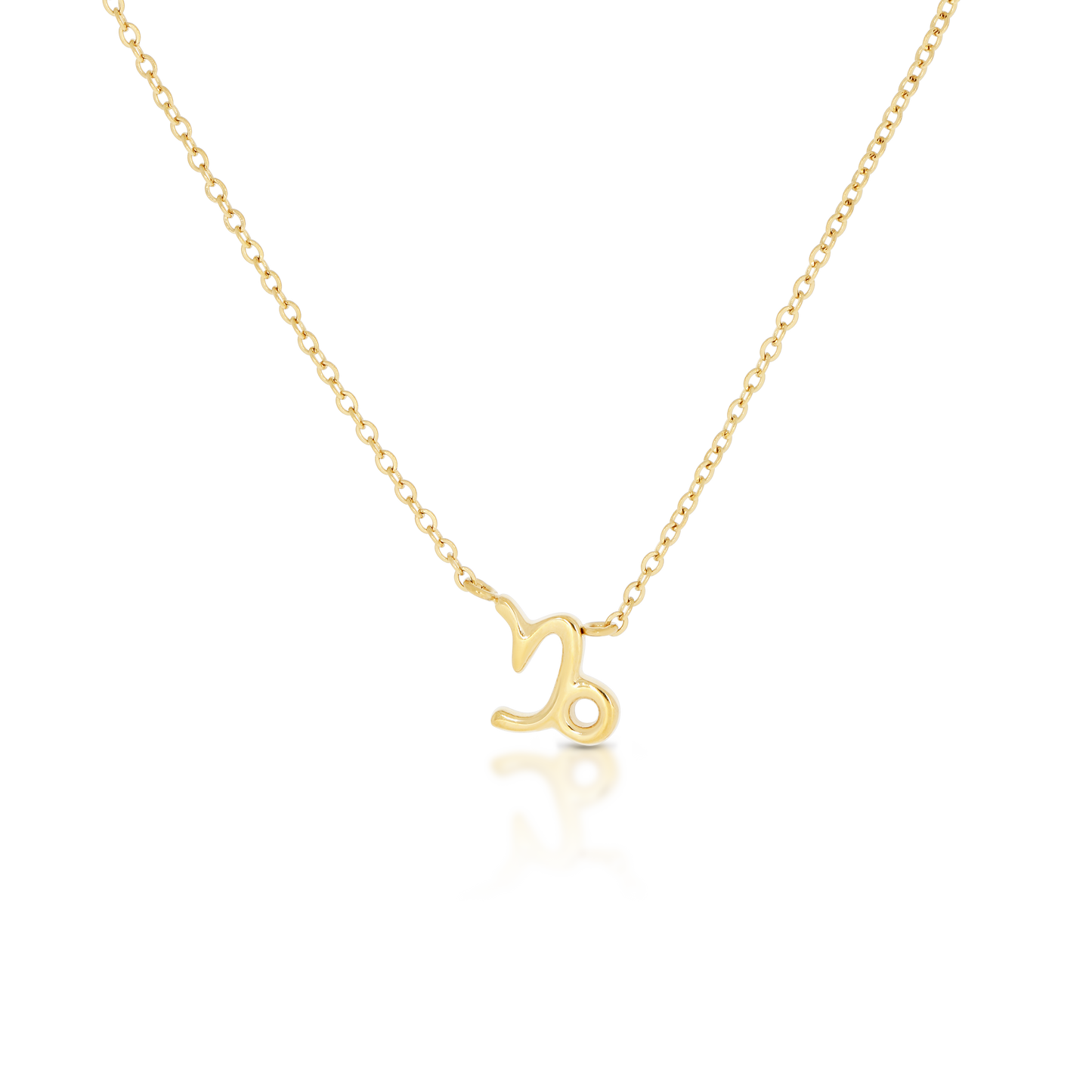 Capricorn Zodiac Necklace (6644270104689)