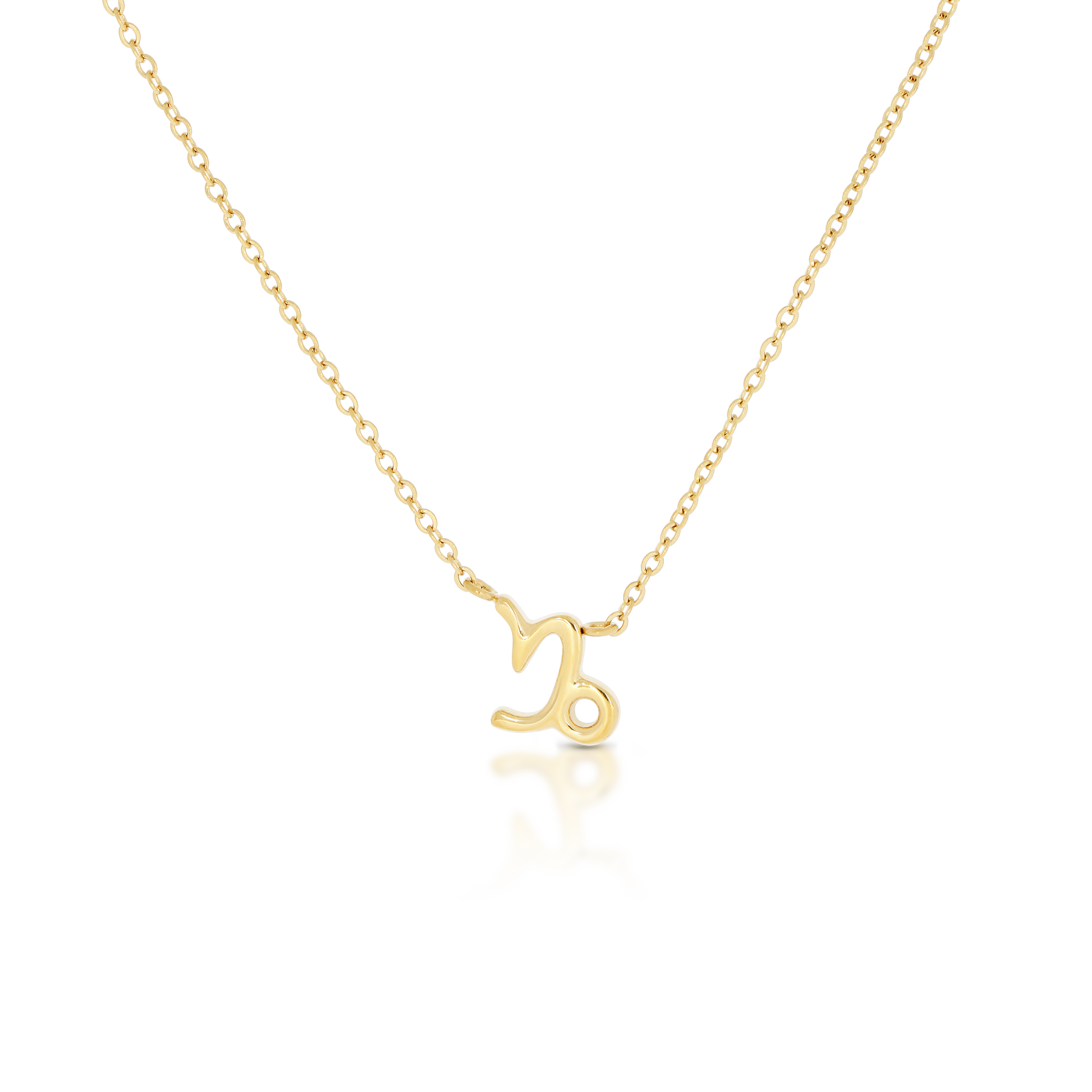 Capricorn Zodiac Necklace (6644270104689)