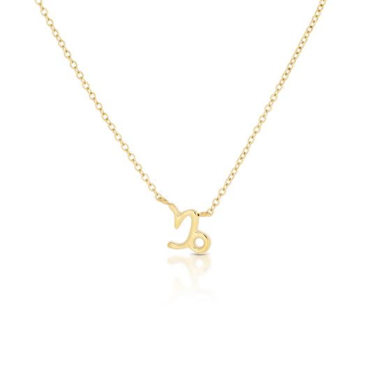 Capricorn Zodiac Necklace (6644270104689)