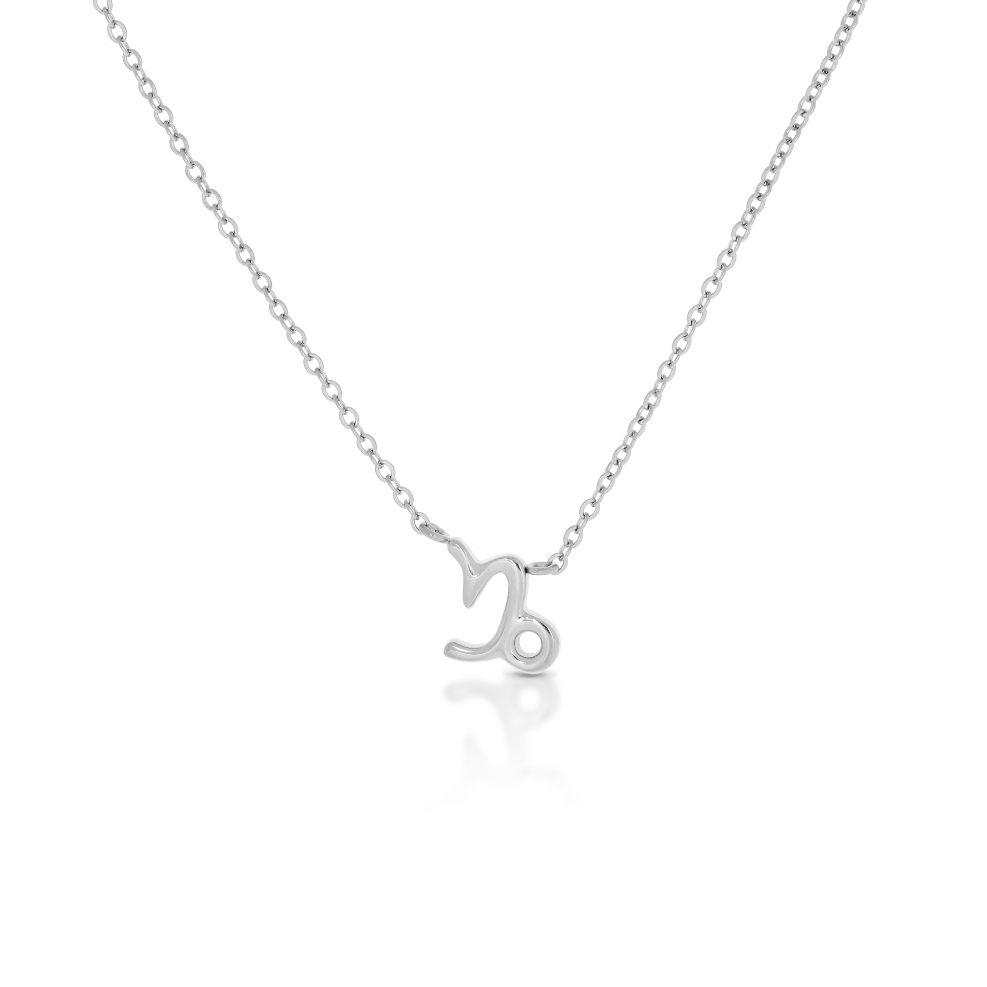Capricorn Zodiac Silver Necklace (8019273875724)