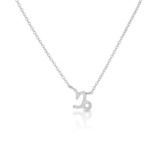 Capricorn Zodiac Silver Necklace (8019273875724)