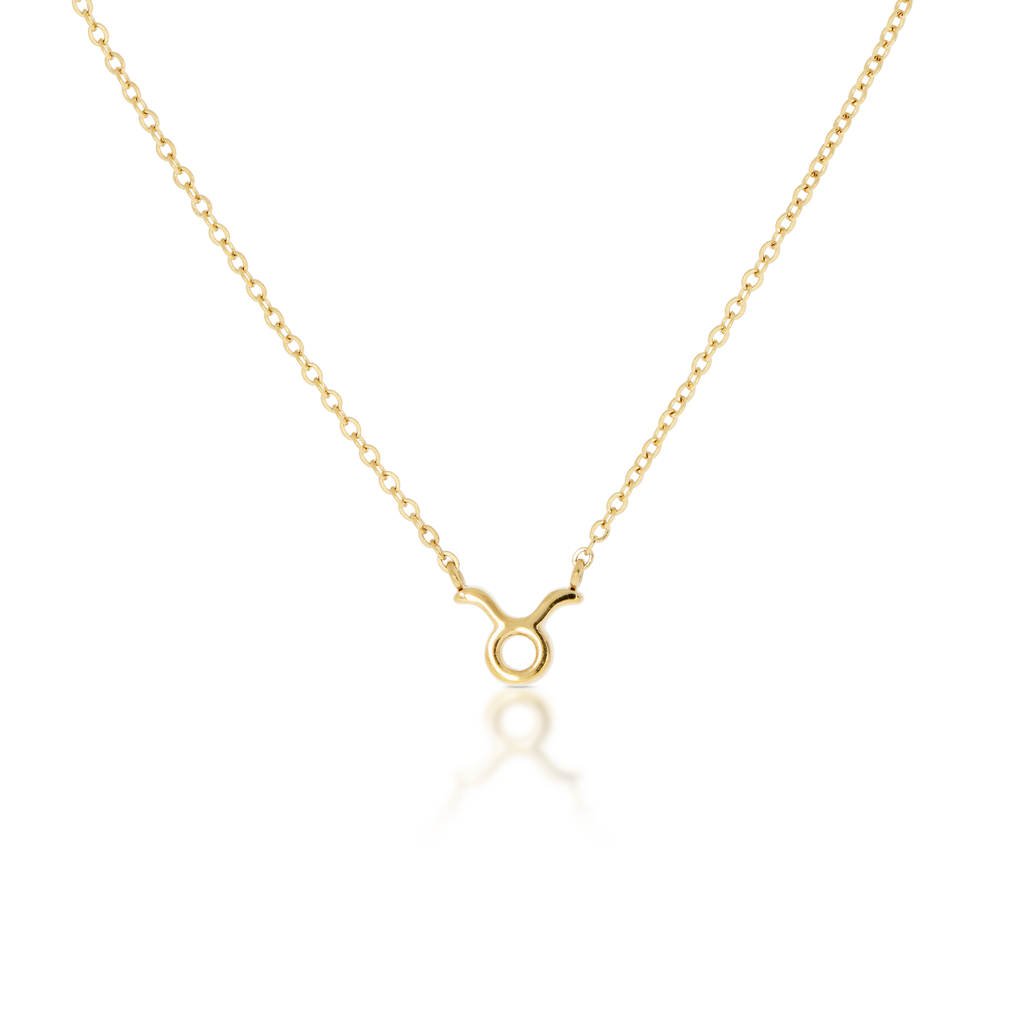 Taurus Zodiac Necklace (6644864024689)