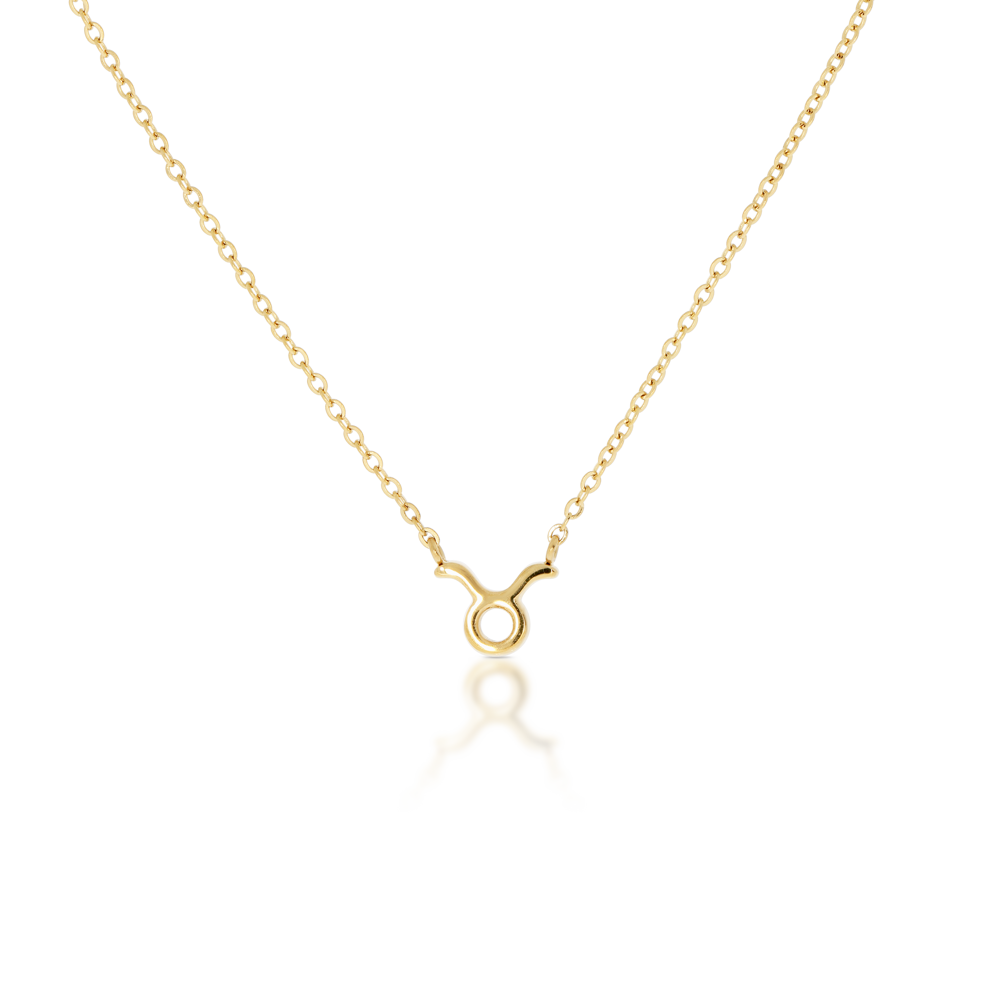 Taurus Zodiac Necklace (6644864024689)