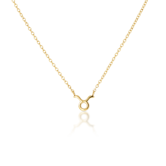 Taurus Zodiac Necklace (6644864024689)