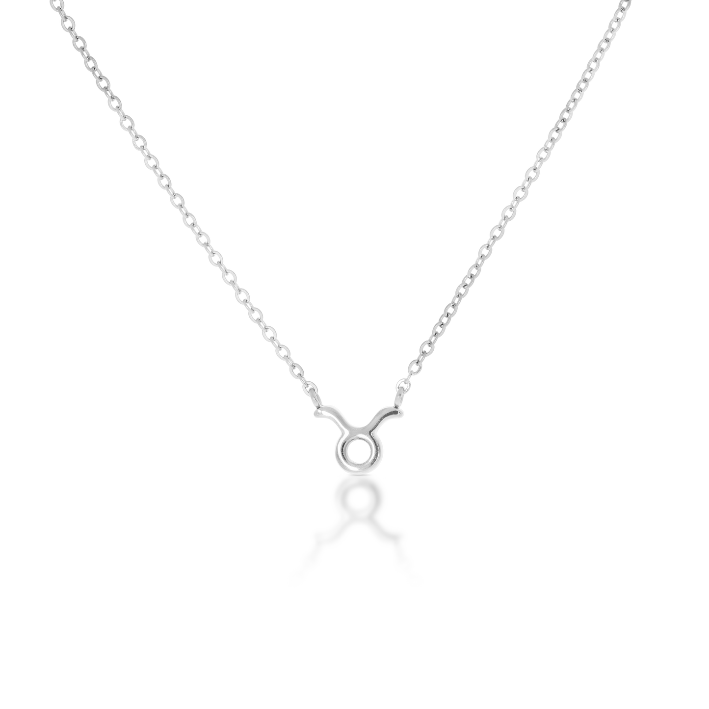 Taurus Zodiac Silver Necklace (8019276300556)