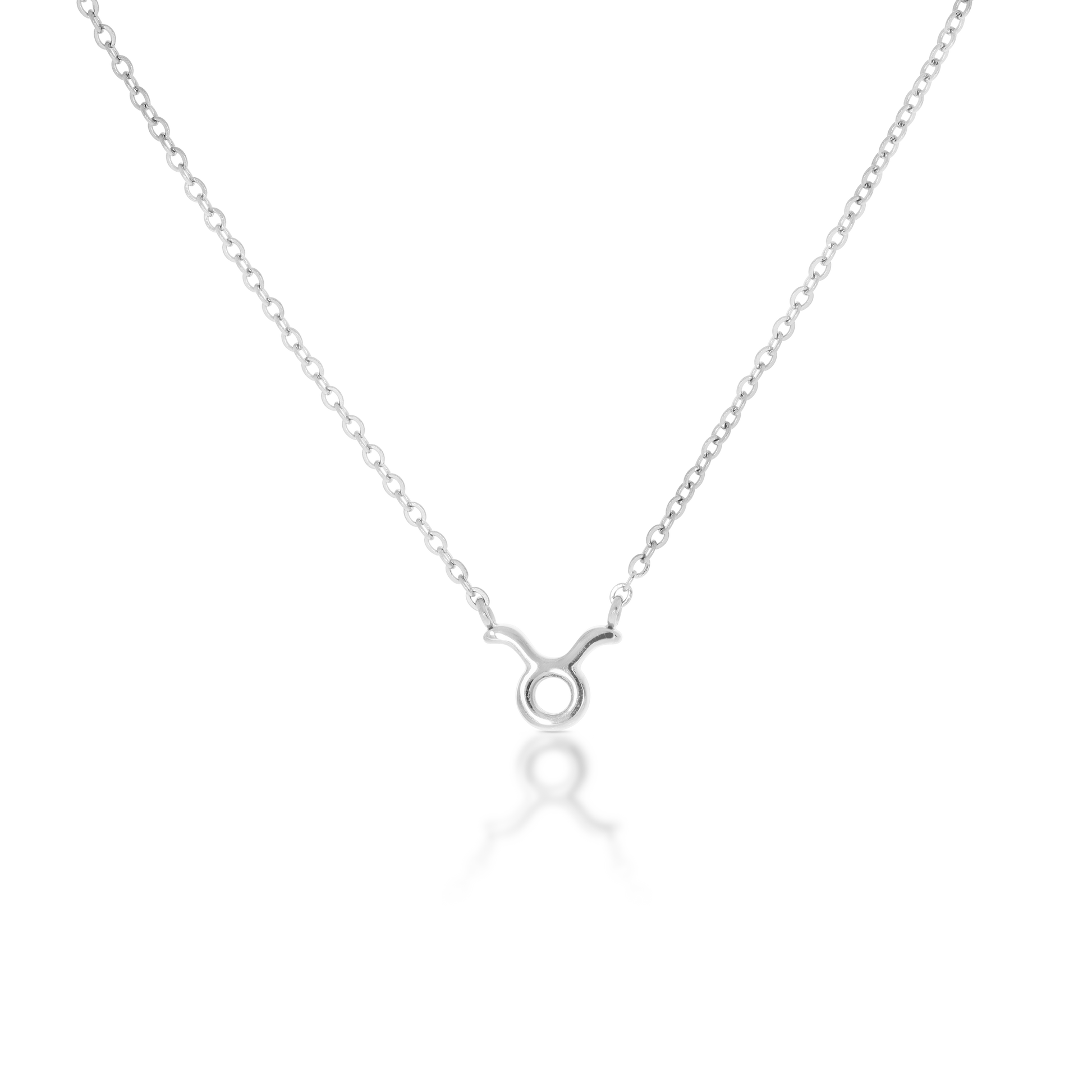 Taurus Zodiac Silver Necklace (8019276300556)