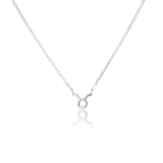 Taurus Zodiac Silver Necklace (8019276300556)