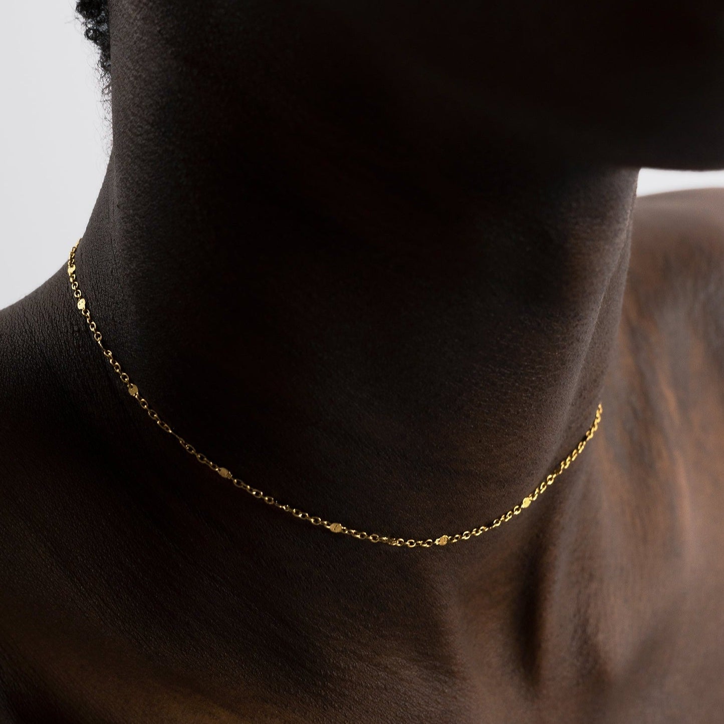 Phoenix Choker