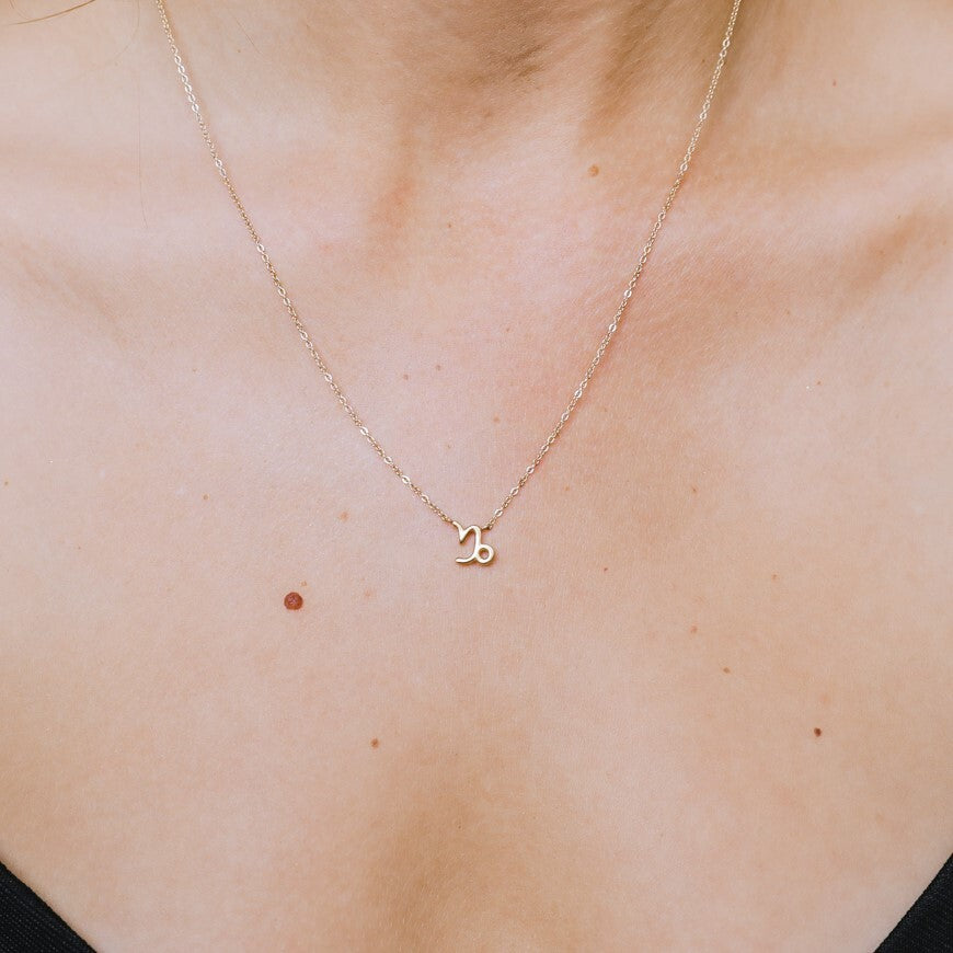 Capricorn Zodiac Necklace  Hey Harper (6644270104689)