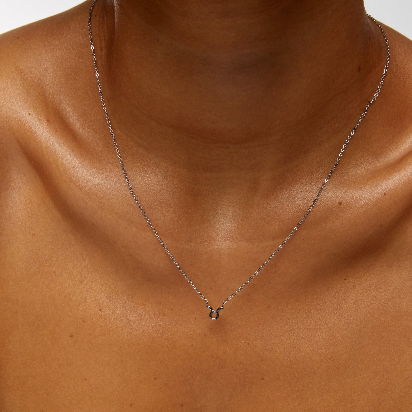 Taurus Zodiac Silver Necklace (8019276300556)