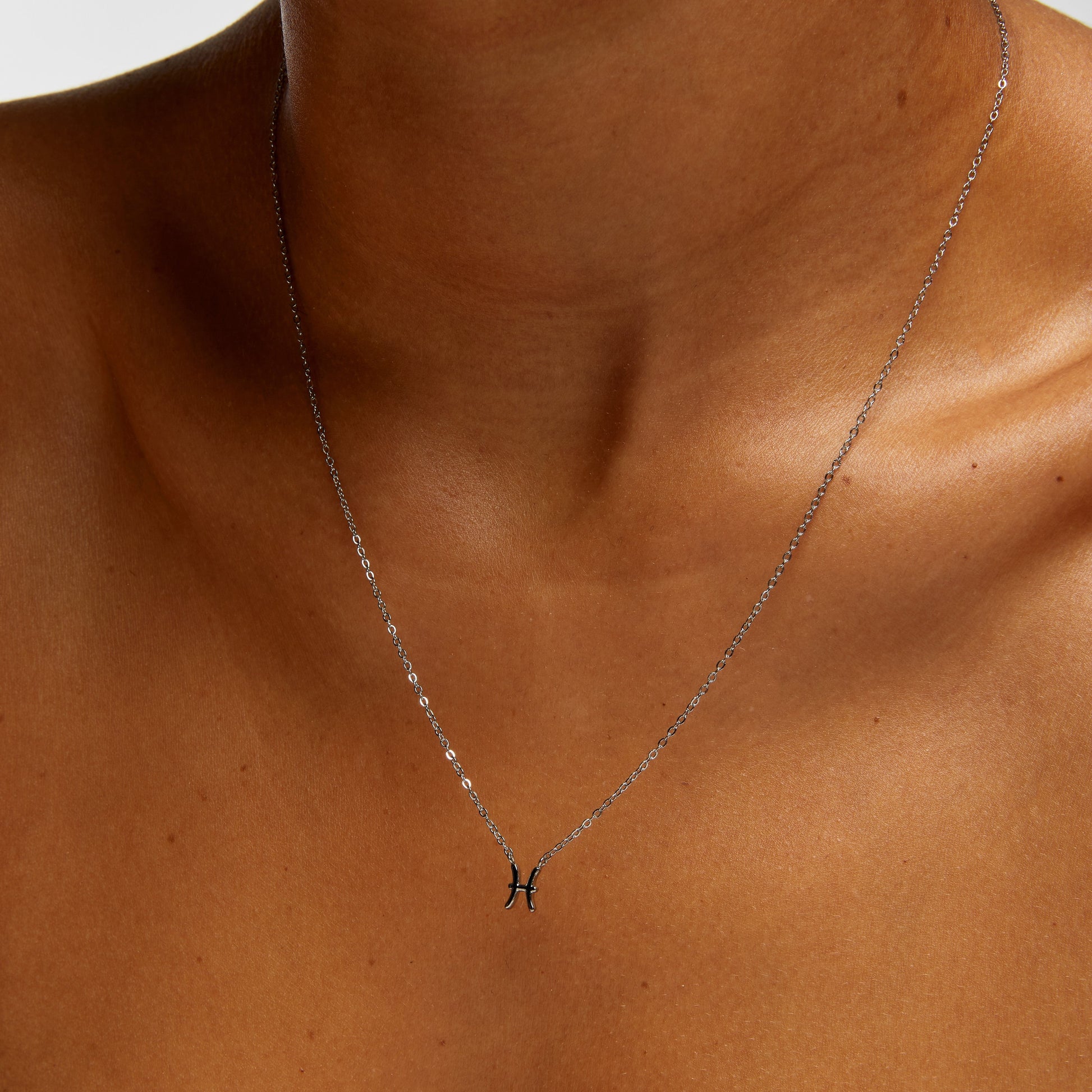 Pisces Zodiac Silver Necklace (8019275317516)