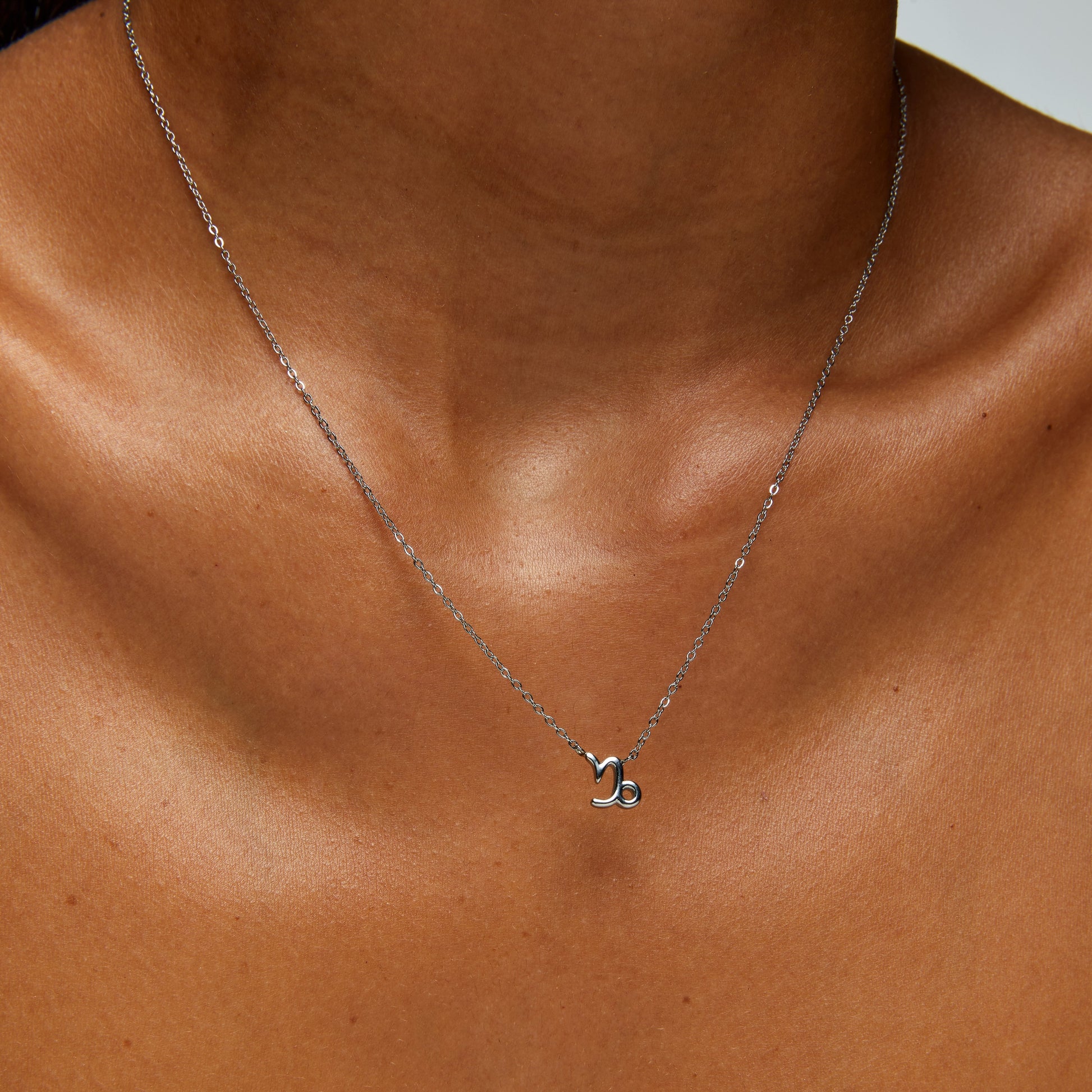 Capricorn Zodiac Silver Necklace (8019273875724)