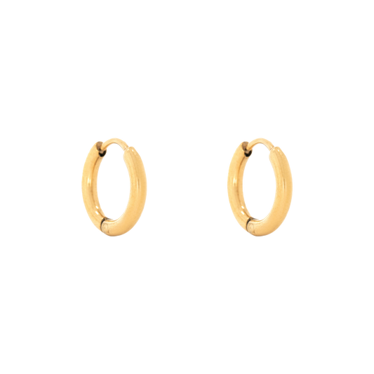 Huggie Hoop Earrings (6581373370481)