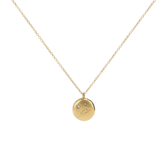 Leo Constellation Necklace (6691884236913)