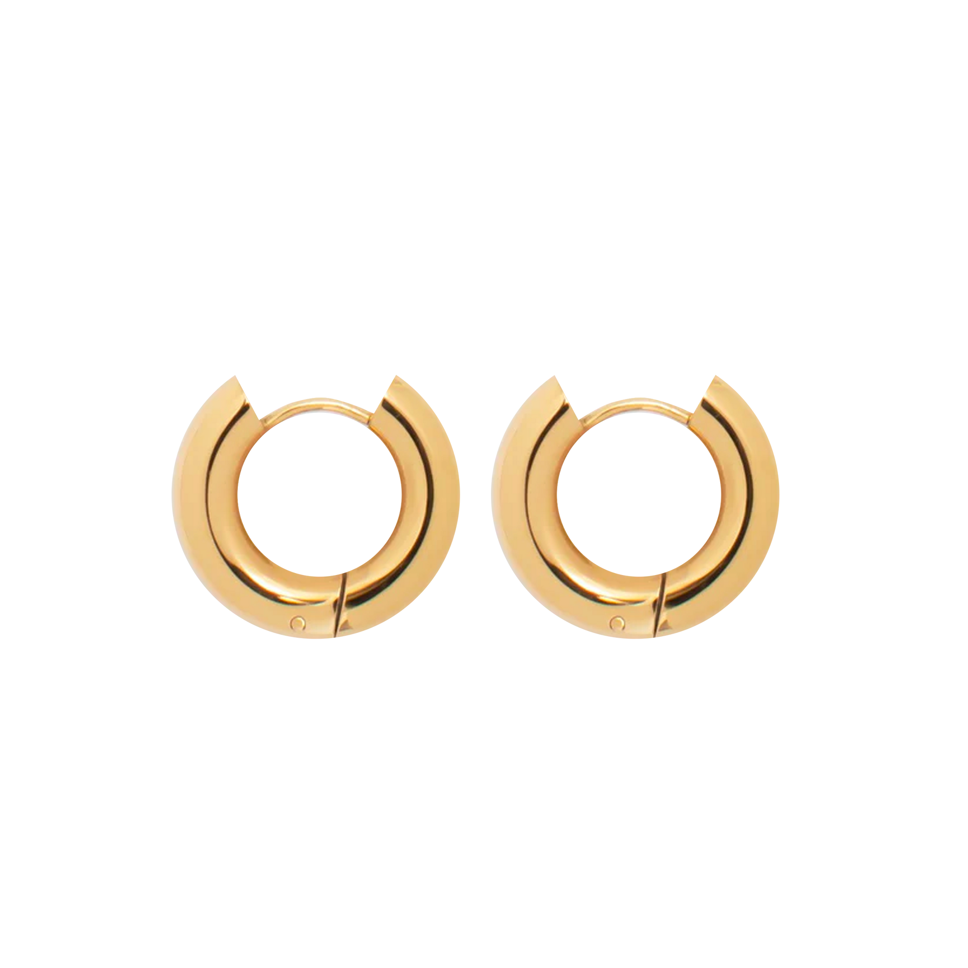 Nicole Hoop Earrings (2244001398897)