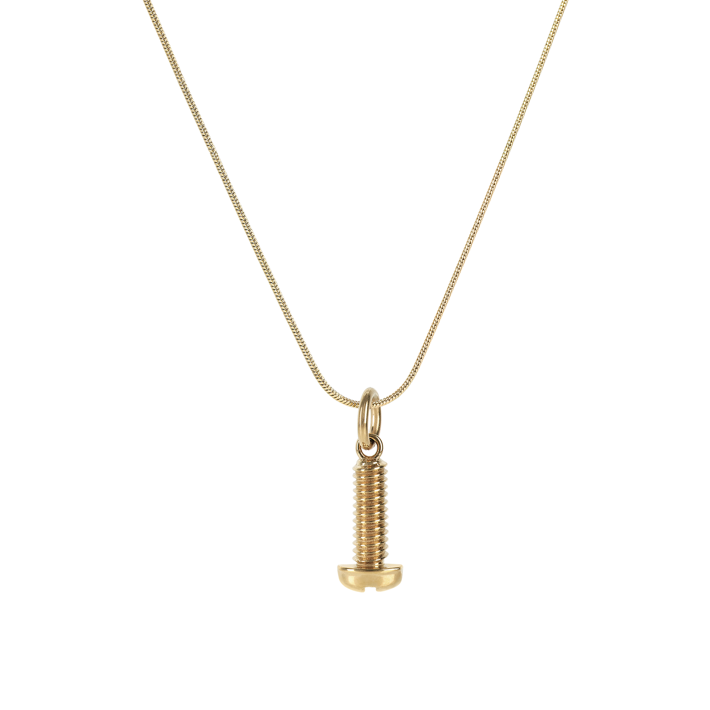 Screw It Charm (8219441103116)