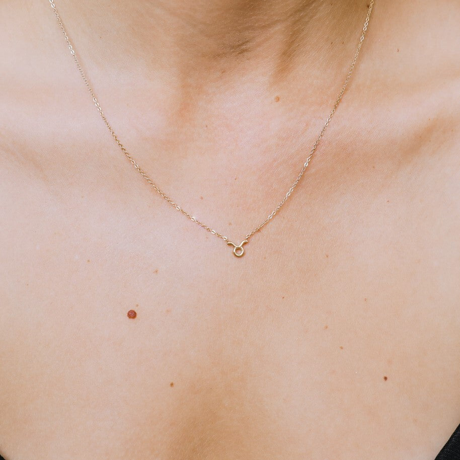 Taurus Zodiac Necklace  Hey Harper (6644864024689)