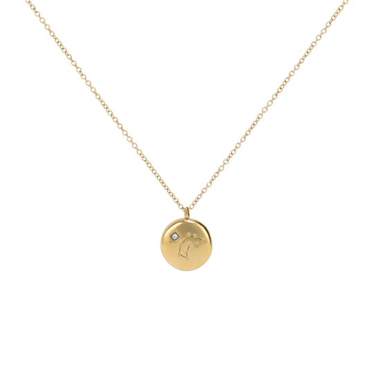 Aquarius Constellation Necklace (8086713696524)
