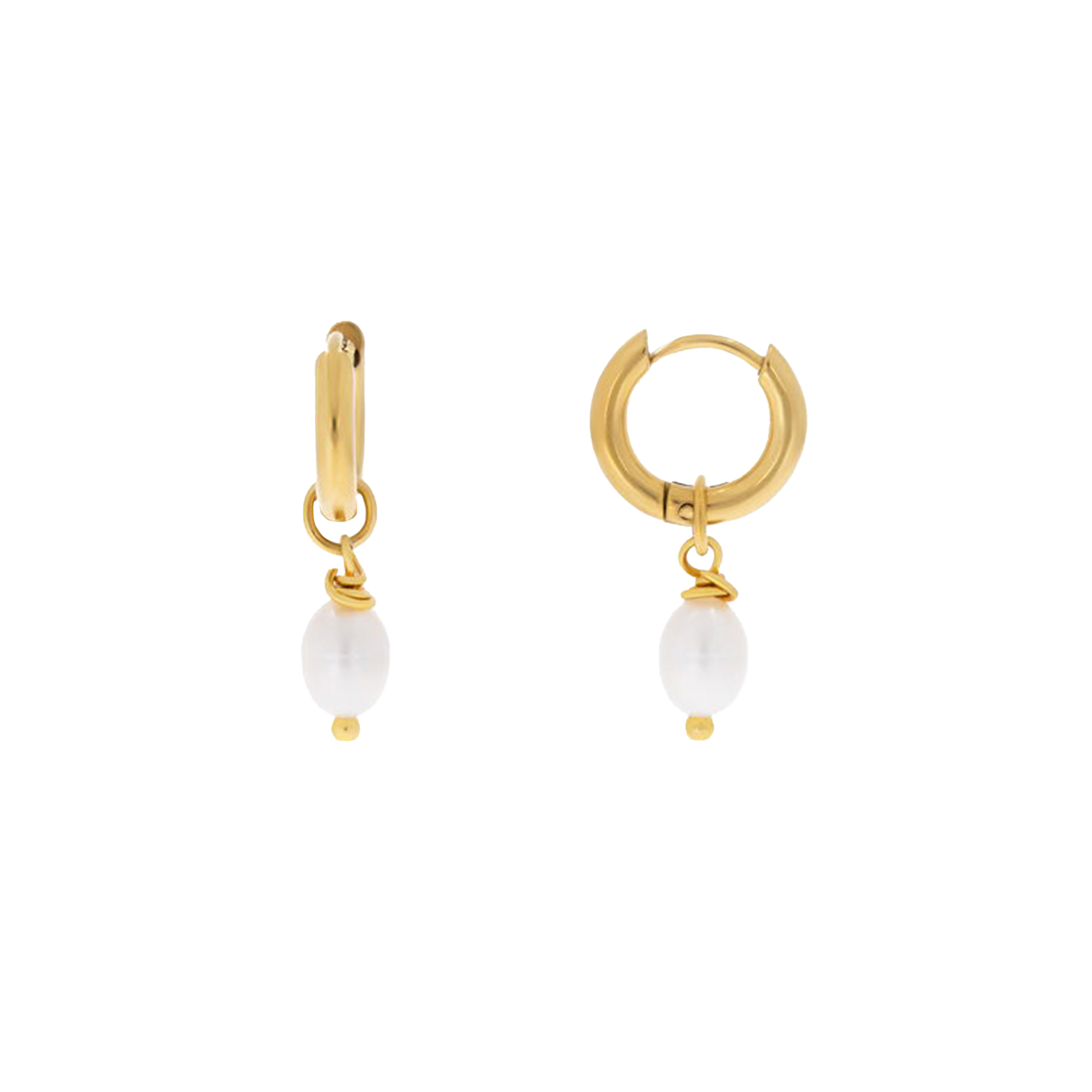 Camila Earrings (6701251952753)