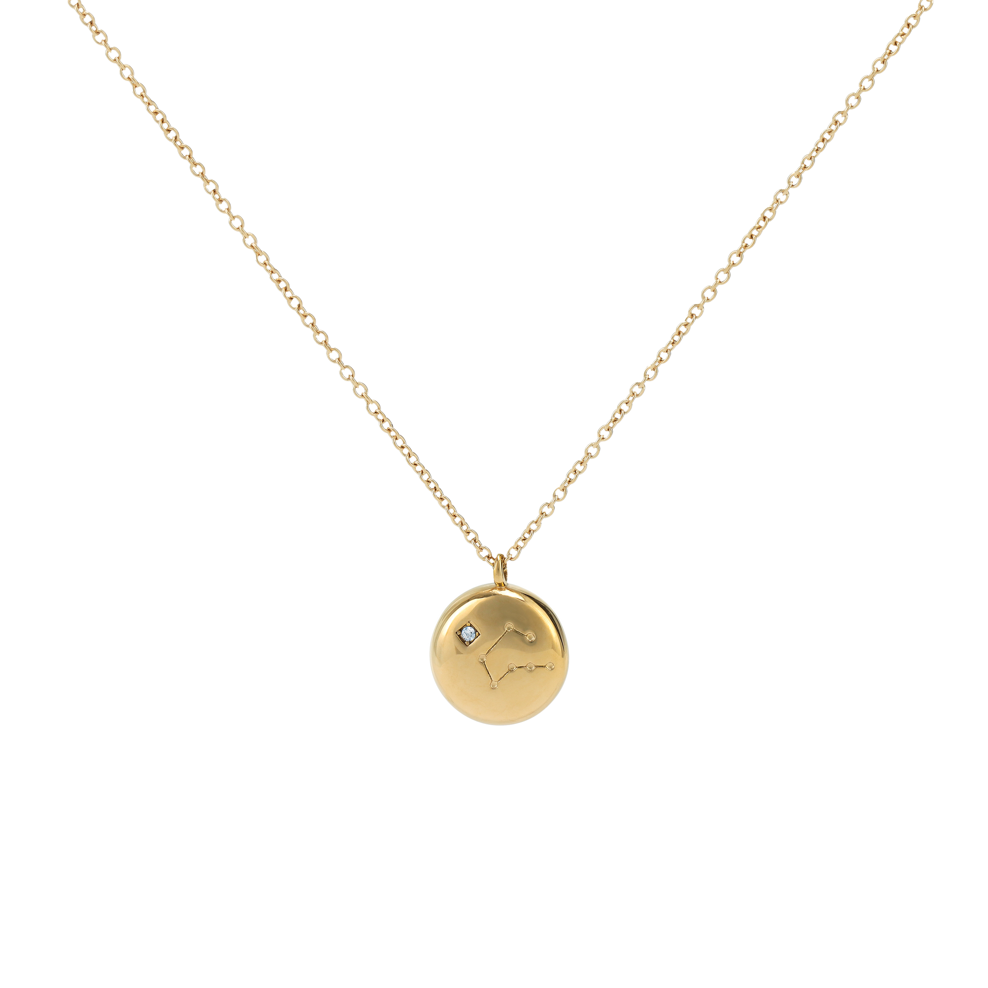 Capricorn Constellation Necklace (6691562422385)