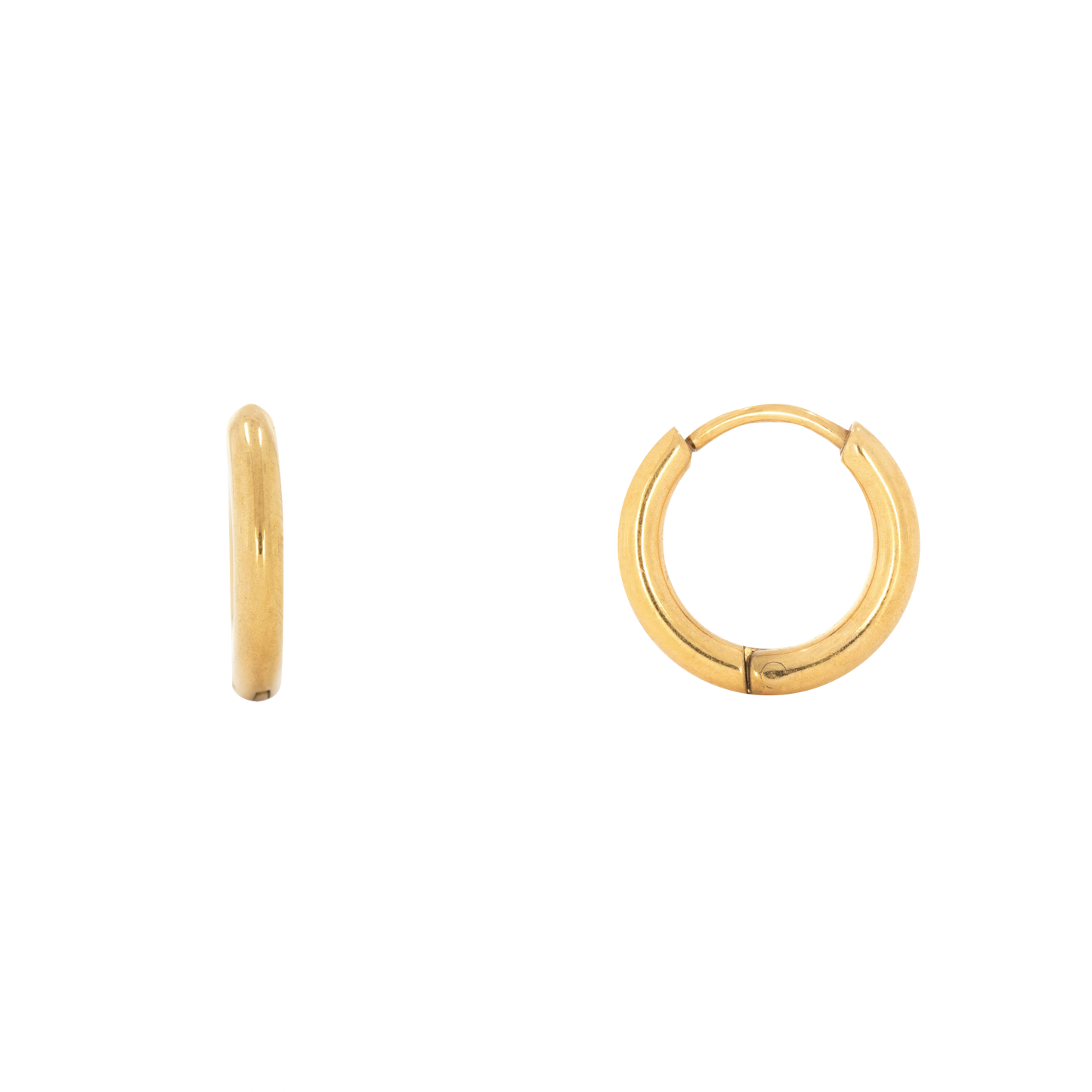 Huggie Hoop Earrings (6581373370481)