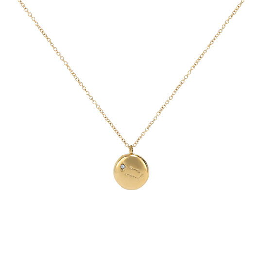 Gemini Constellation Necklace (6691882172529)