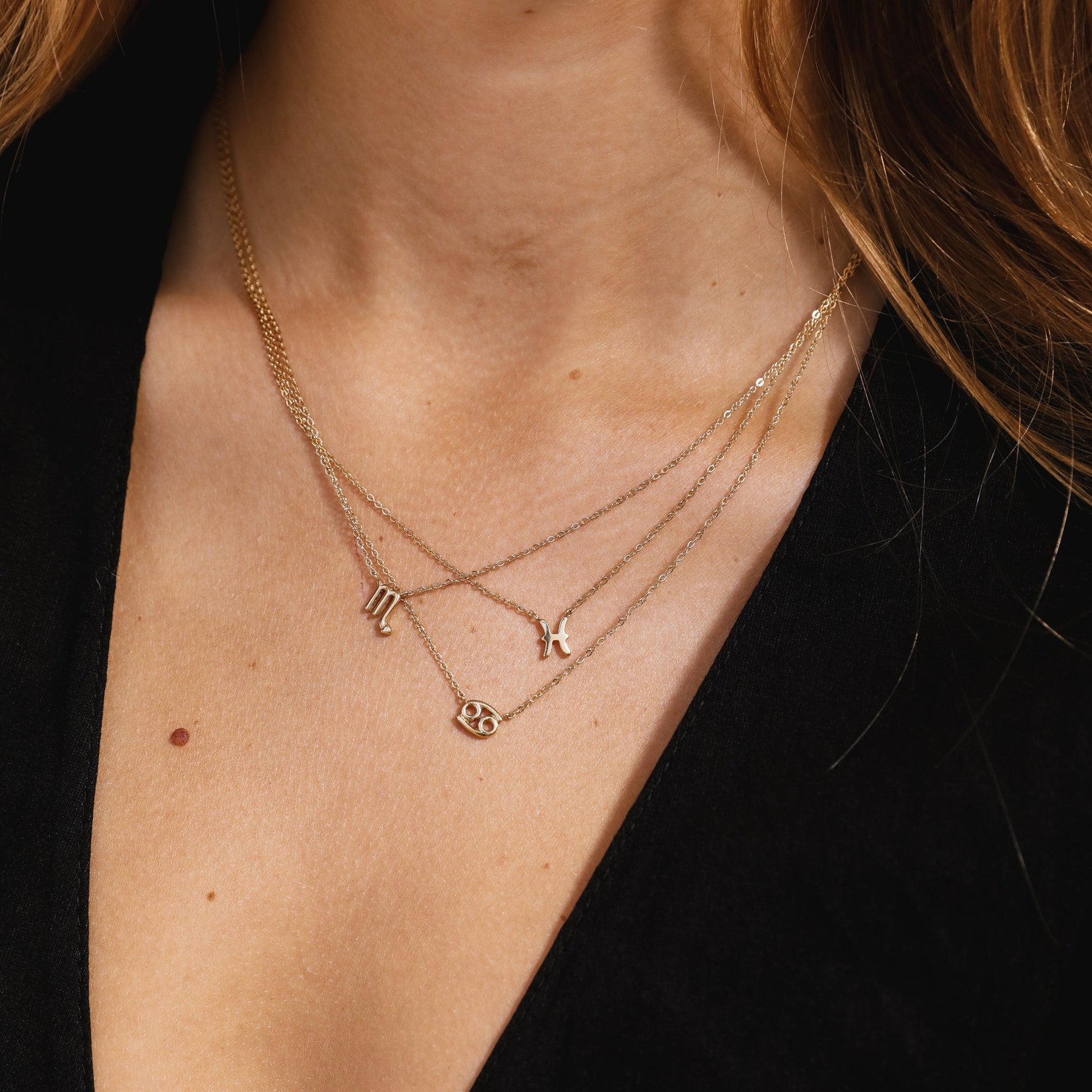 Pisces Zodiac Necklace  Hey Harper (6644859601009)